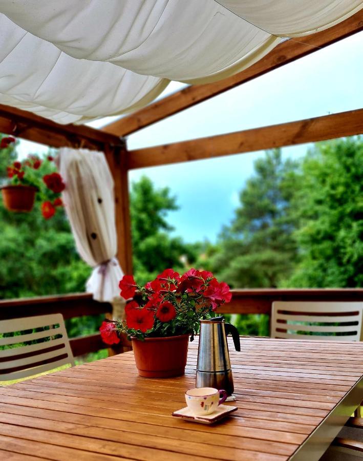 Trasa S7 W 2H Z Warszawy I Gdanska, Jadamowo Holidaymazury, Jacuzzi, Jezioro Olsztynek Eksteriør billede